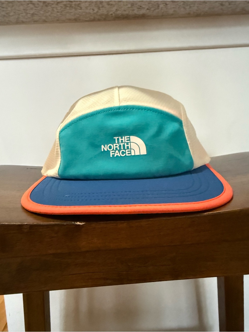 The North Face Turquoise and Blue Camp Hat